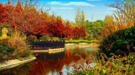 This year's Double Ninth Festival, Xuzhou this scenic area for the elderly free ticket!