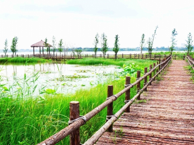 Pan’an Lake wetland park